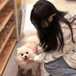 传奇打地鼠免费版下载